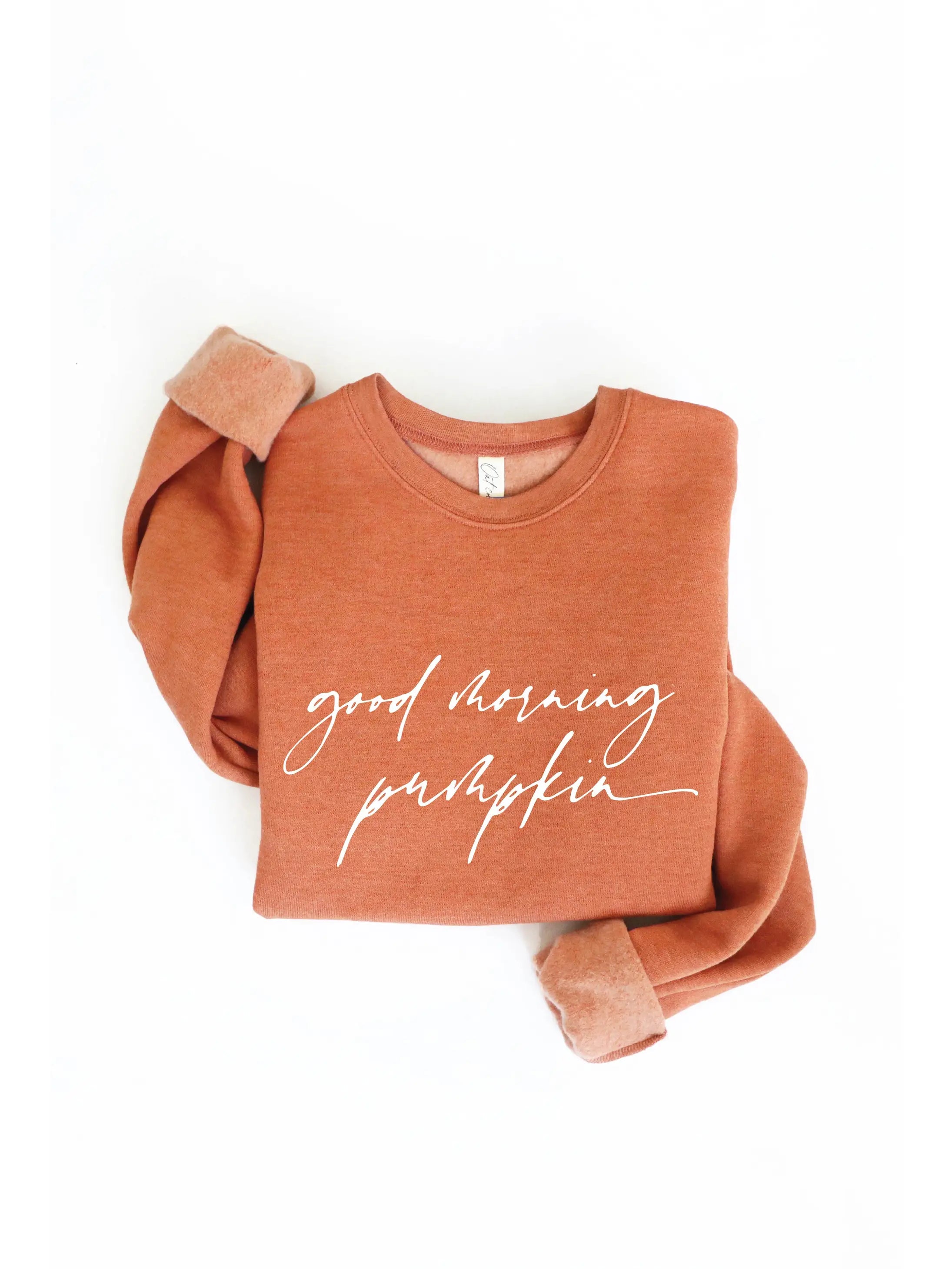 Good Morning Pumpkin Sweatshirt Hoodie with Earth Tones Natural Calm